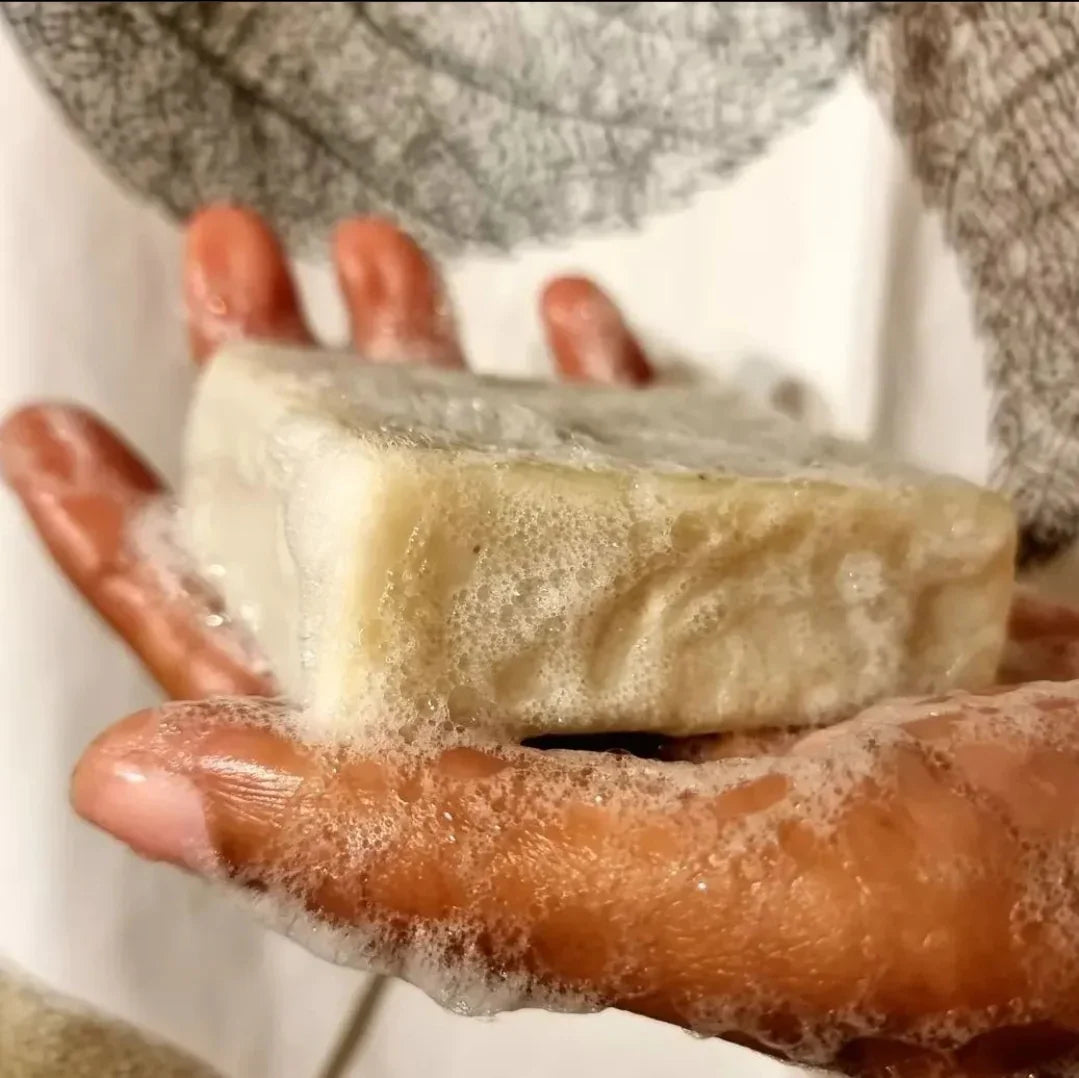 KWELY 2-in-1 Solid Shampoo Bar Detox | Nourish | Zero-Waste - Kaïla Karrer Cosmetics
